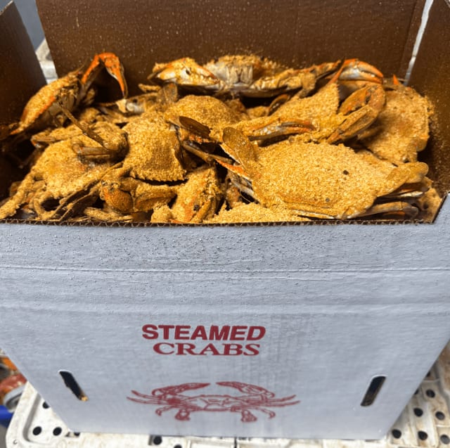 Fresh Blue Crabs #2 (Medium) Half Bushel ~40+crabs.