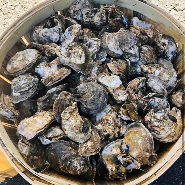 Fresh Oysters (Full Bushel).